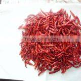 Whole Chilli thumbnail-3