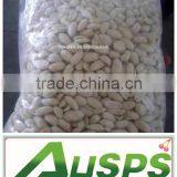 chinese blanched peanut kernel