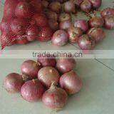 China New Crop Fresh Onion thumbnail-2
