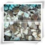 Cultivated Crops /raw Mushroom/frozen Food Mushroom thumbnail-6