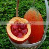 Gac Oil Capsules for Bright Eyes thumbnail-5