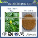 Tribulus Terrestris P.e.,China Tribulus Terrestris Extract thumbnail-1