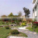 Nantong Chitsuru Foods Co., Ltd. company overview - view 1 thumbnail