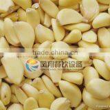 Large Type Peeling Machine Series / Peeler Machine for Small Onion / FX-128 -2 Garlic Peeling Machine With CE Approved thumbnail-4