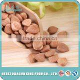 Premium Raw Bitter Apricot Kernels Similar to Califonia Almonds Bulk From China thumbnail-5