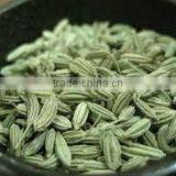 Fennel Seed Oil thumbnail-3