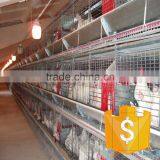 H Type Layer Chicken Cage for Poultry Farm thumbnail-6