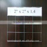 Galvanized Welded Wire Mesh