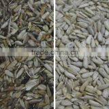 Automatic CCD Color Sorter/seperator Machine Price for Sunflower Seeds thumbnail-3