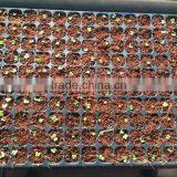 288 Cell PS Material Plastic Plant Growing Trays, China Wholesale thumbnail-1