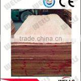 Factory Supply 0.2 mm 4x8 Natural Keruing Veneer thumbnail-1