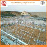 Agriculture Equipment Multi-span 6.0m Plastic PE Film Agriculture Greenhouse for Sale thumbnail-1
