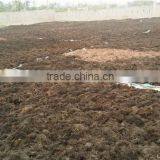 Sell Gracilaria, Eucheuma Spinosum And Eucheuma Cottoni Seaweeds thumbnail-2