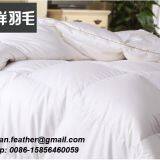 Classic White Duck Feather and Down Duvet Wholesale Goose Feather Down Duvet