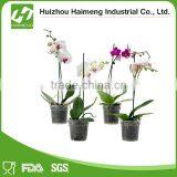 Decorative Garden Mushroom Plant Pot Sticks thumbnail-6