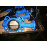 Binaural Non Backed Butterfly Valve