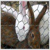 Chicken Wire Mesh
