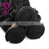 Brazilian Virgin Human Hair Bulk Extension Wet and Wavy Virgin Brazilian Hair Bundles Remy Hair Bulk Weft thumbnail-2