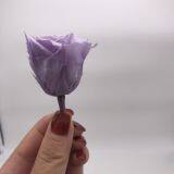Wholesale3-4cm Elegant Real Touch Preserved Rose Flower thumbnail-1