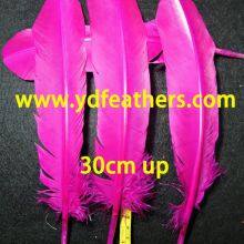 Pink Turkey Plume Feather for Wholesale From China