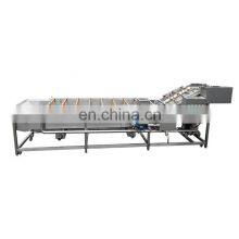 Single Tank Ozone Based Bubble Vegetable Washer Machine Fruit Washing and Drying Machine Equipment thumbnail-1