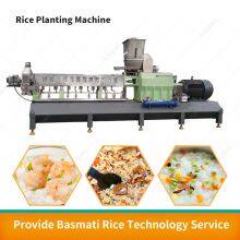 Extruded Rice Processing Line Nutritional Rice Processing Machine Extruder for Rice thumbnail-4