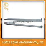 Galvanized Concrete Nails thumbnail-2