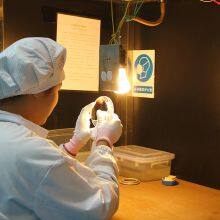 High Light Optics Limited company overview - view 4 thumbnail