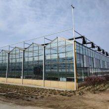 AR Coated Greenhouse Glass for Enhanced Thermal Insulation in Cold Climates thumbnail-4