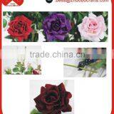 Artificial Flower Rose Wholesale thumbnail-6