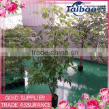 China Supplies Party Hall Decoration Happy Tree Evergreen Ornamental Plants thumbnail-1