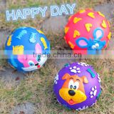 Pet Play Accessory with Animal Face Ball Toy Supply