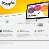 Professional Outsource Website Design Service In India