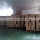 The Human Stomach Amplification Hierarchy Model of Gastric Digestive Department Special Amplification Model thumbnail-6