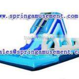 Bule Ocean Inflatable Water Slide, Popular Inflatable Slide With Pool Hot Sale Hot Sale SP-PS016