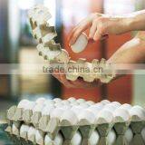 Low Price Paper Egg Tray Making Line