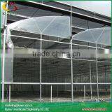 Sawtooth Type Film Greenhouse Plastic Greenhouse Covers Industrial Greenhouse thumbnail-4