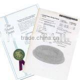 US patent