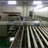 Package Industry Dynamic Roller Conveyor Assembly Line