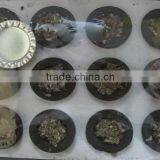 Singapore Benzoin thumbnail-1