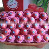 China Fresh Apple Fuji thumbnail-1