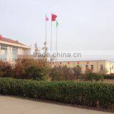 Weifang Sansho Food Co., Ltd. company overview - view 3 thumbnail