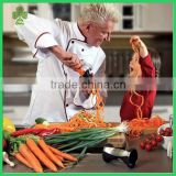 new commercial the best quality mini vegetable slicer dicer