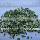 Linyi Newest ad Chives Manufaturer thumbnail-1