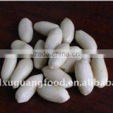 Shandong Blanched Peanut Kernel 35/39 thumbnail-1