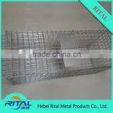 Factory Supply New Model Eco-friendly Mouse Squirrel Trap thumbnail-3