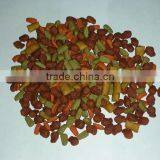 Single Screw Pet Food Machine thumbnail-6