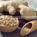 Ginger Powder thumbnail-3