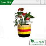 Stylish Flower Pots, Flower Pots Wholesale, Canvas Flower Bag thumbnail-2