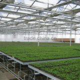 Aluminum Frame Glass Greenhouse PC Greenhouse With Aluminum Structure Single Span With Automatic Ventilation Greenhouse thumbnail-2